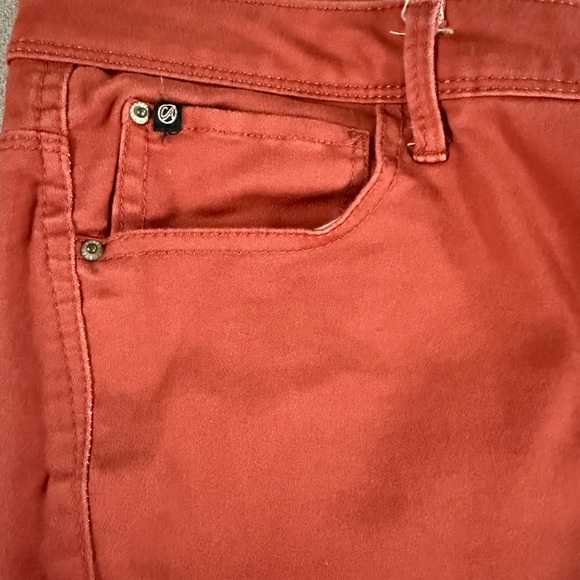 Curve Appeal Rust Skinny Pants Size 20W Plus Stretch - Picture 5 of 11